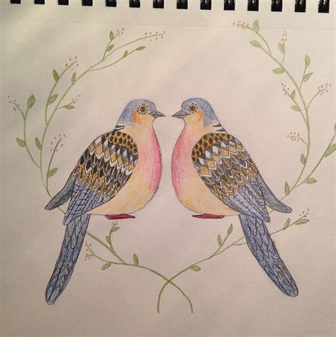 Two Turtle Doves Drawing