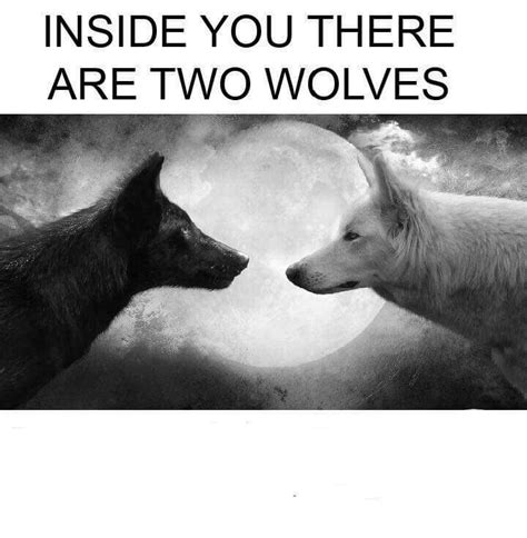 Two Wolves Meme Template