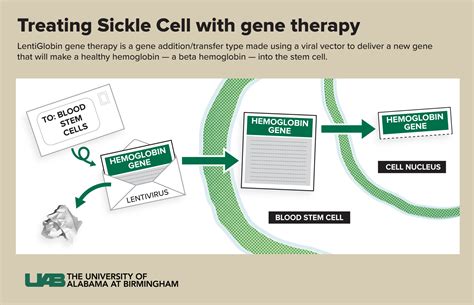 Two gene therapies for sickle cell disease approved in US