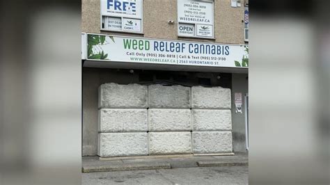 Two men charged after raid on problematic cannabis dispensary in Mississauga