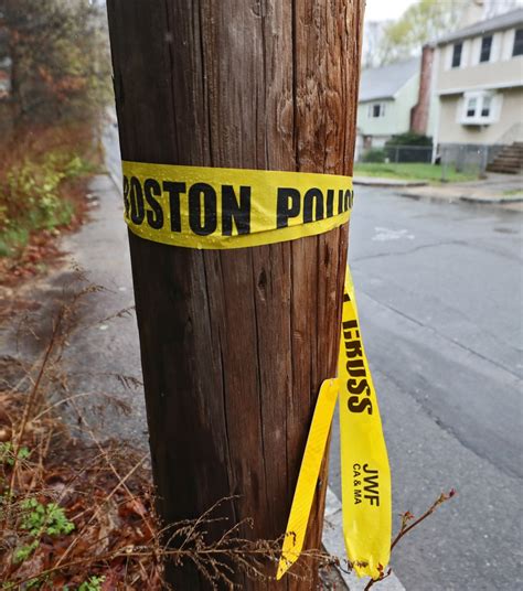 Two men die after Hyde Park shooting: Boston Police