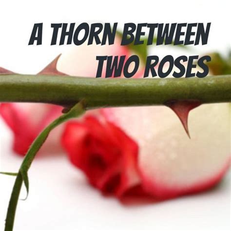Two thorned rose. Things To Know About Two thorned rose. 