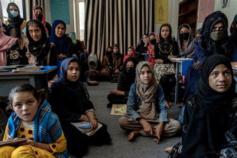 Two years into Taliban rule, Afghan women ask Canada for education and accountability
