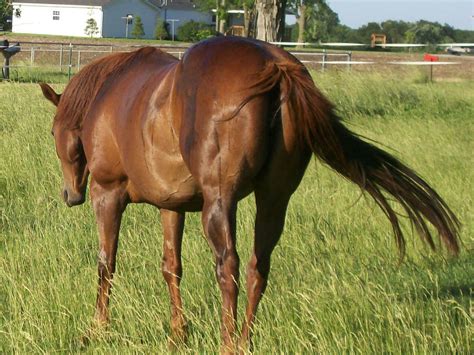 Twystedangel Leaked [PPV] 🍌