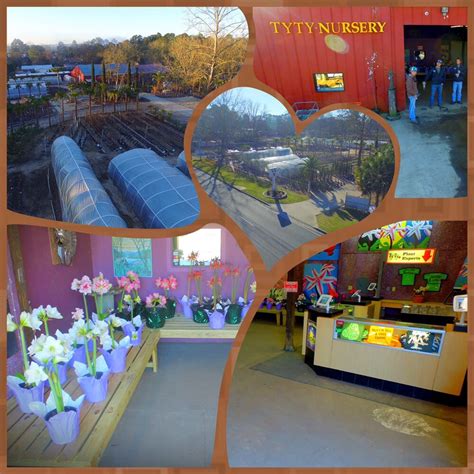 Ty ty nursery reviews. Dec 18, 2018 · Ty Ty Nursery. Owner, Ryan Phillips December 18, 2018. Ty Ty Nursery is a plant nursery located in Ty Ty, Georgia, owned and operated by Ryan Phillips. Ever since an early age in life, Ryan Phillips knew that plants were his passion. He ran a landscaping business as a teenager out of his neighborhood in Snellville, Georgia, and eventually … 