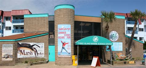 Tybee island marine science center. Land in Mexico City before traveling to La Paz, where you will work closely with a marine biologist. Snorkel among colorful schools of fish and … 