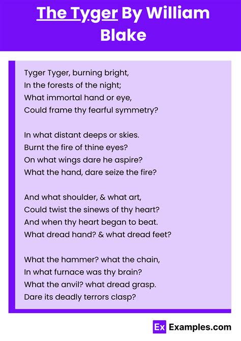 Tyger Onlyfans Leak