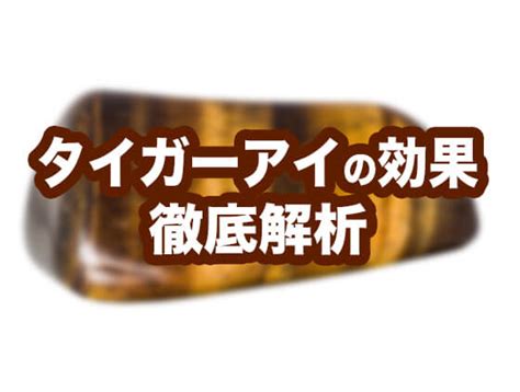 Tyger3 Leaks 🔥 (SEX)