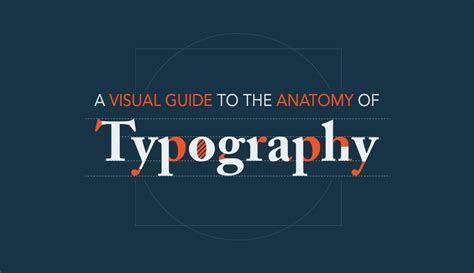 Type Anatomy A Visual Guide to the Parts of Letters