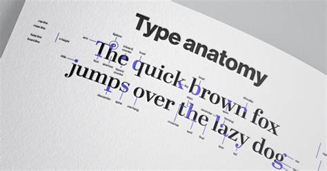 Type Anatomy Cheat Sheet FREE