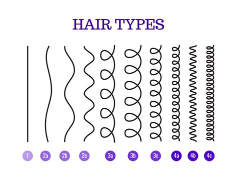 Type Of Curly Hair Chart