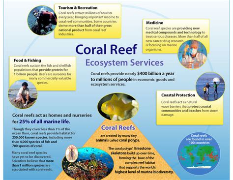 Types Functions and Conservation of Coral Reefs