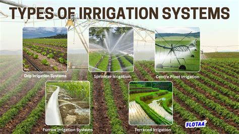 Types Of Agricultural Irrigation Systems
