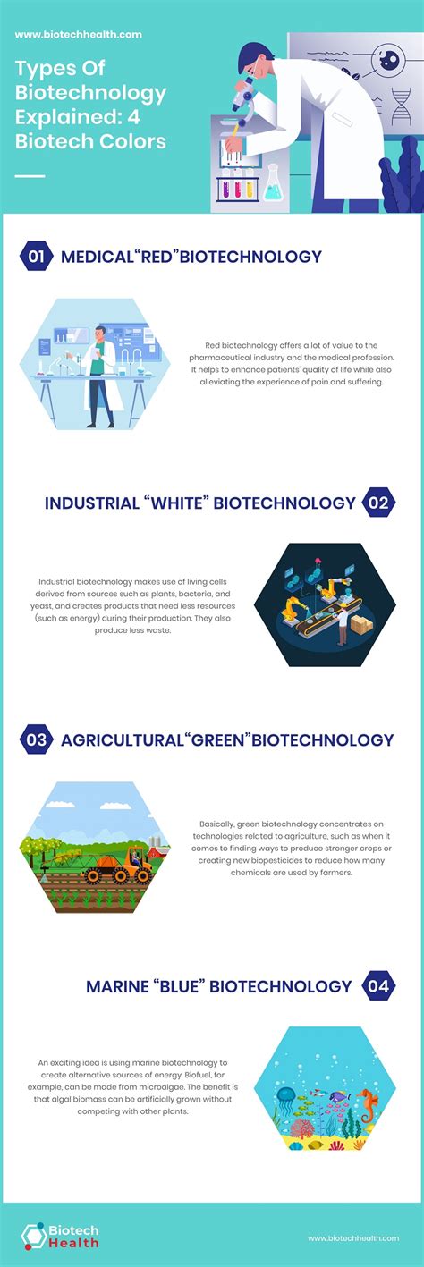 Types Of Biotechnology Explained: 4 Biotech Colors