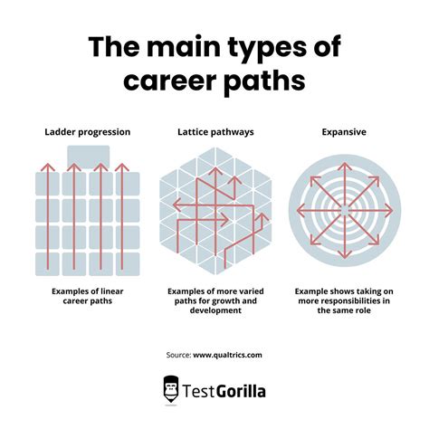 Types Of Career