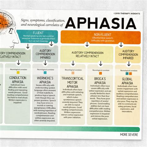 Types of Aphasia and their Neurological Correlates Adult and