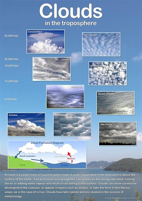 Types of Clouds Their Formation & Meaning Explained with Diagram