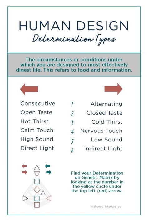 Types of Determination/Digestion in Human Design Human design, Human design system, Design