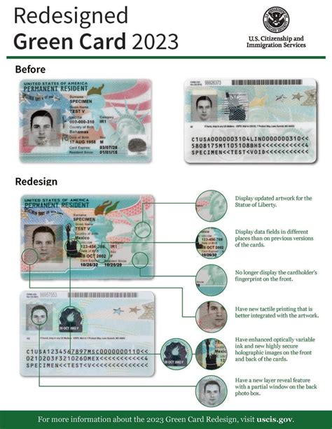 Types of Green Cards in the U.S. in 2023 With Examples. 