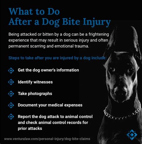 Types of Insurance That May Apply in Texas Dog Bite Cases