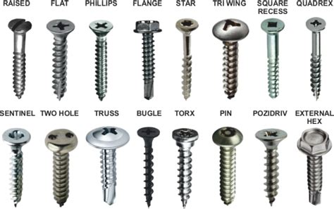 Types of Screws & Their Uses Shop4Fasteners