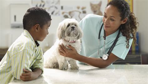 Types of Veterinary Jobs - Career Trend