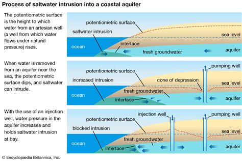 The spatial arrangement of an aquifer controls the shape and