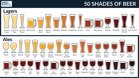 Types of beer. Jul 26, 2023 · The 2 Basic Types of Beer – Lager and Ale. If you really want to get to know the different types of beer, you have to start by getting familiar with the 2 “basic” types of beer – lager and ale. They are the most … 