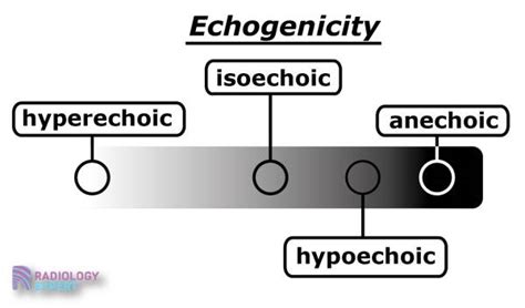 Types of echogenicity in ultrasound.  Figure 5.  Experiments performed ...