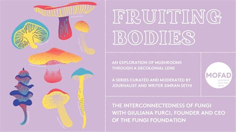 Types of fungal fruiting bodies - puffball