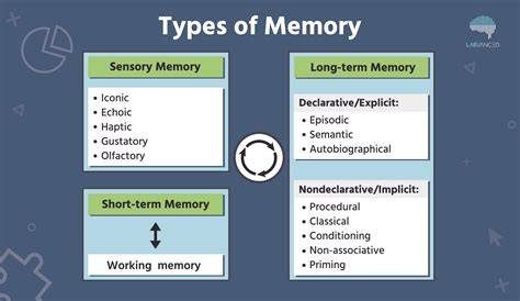 Types of memory pdf notes.  Each memory type has its strengths and weaknesses.  Psychologists h...