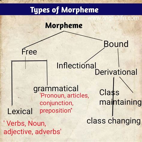 Types of morpheme. Feb 19, 2023 · Morphemes can be either free, like “cat,” which can stand alone, or bound, like “-ed,” which must be attached to another word. Morphemes are classified into two types: bases (or roots) and affixes. The morpheme root of a word gives it meaning; in other words, it is used to define the word. It is formed by affixing before or after a base ... 