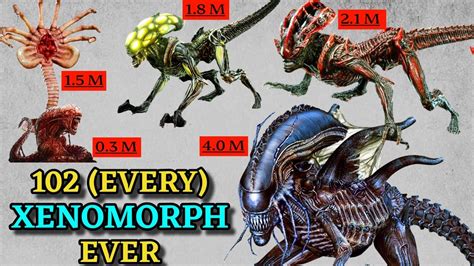 Types of xenomorphs.  Xenomorph Types: List Of All Alien Subspecies And...