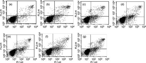 Typical Dot Plots Of Flow Cytometry Presentation Fl1 H Annexin Download Scientific Diagram