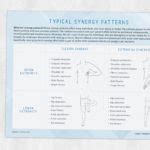 Typical Synergy Patterns Adult and pediatric printable resources for
