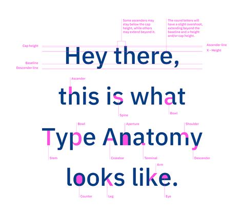 Typography An Overview Fundamentals of Design