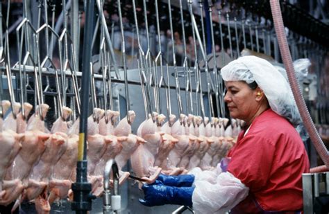 Tyson Foods to close four chicken processing plants