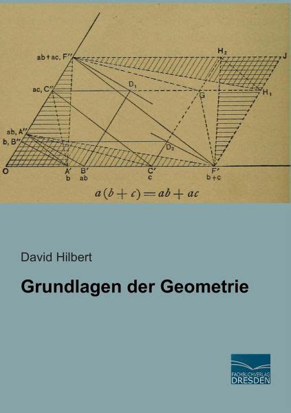 Über die entstehung von david hilberts grundlagen der geometrie. - Guida all'informatica medica 2nd 04 di coiera enrico (inglese) copertina flessibile.