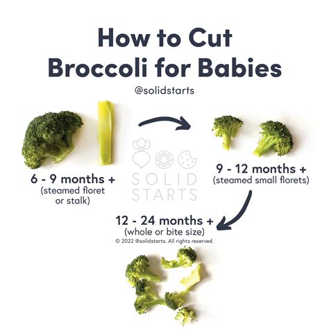 U can introduce broccoli to urbaby after6months#shortsvideo