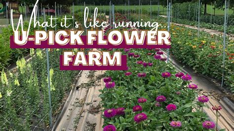 U-Pick & Farmstand — Slow Farm Organic