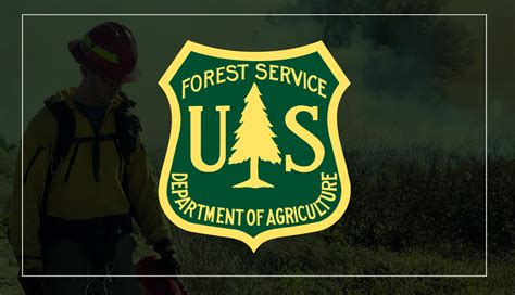 U.S. Forest Service Fire Policy - Forest History Society - wintechmobiles.com