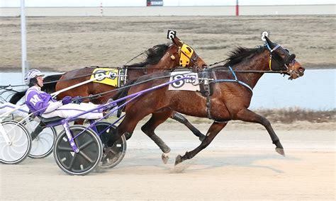 U.s.trotting results. Things To Know About U.s.trotting results. 