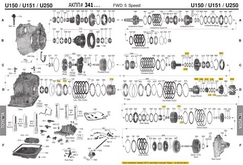 U151e transmission manualtrail guide to the body audio. - Answers to into the wild study guide.