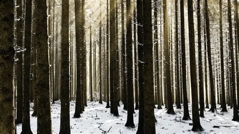 U7BUY Blog - Laman 6 dari 8 - Game News, Reviews and Promotions - balustradellc