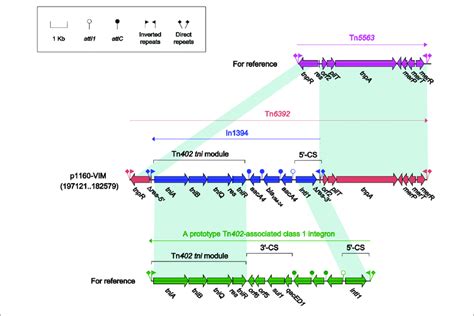 🍑 U88088 Leaked PORN 179 Videos