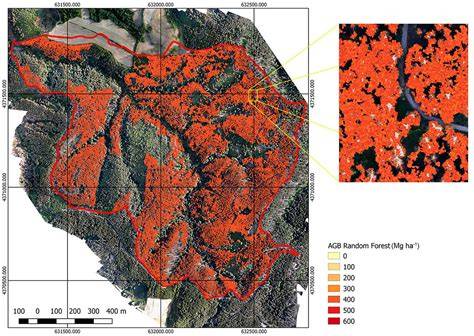 UAV LiDAR Data Fusion for Accurate Forest Biomass Estimation - raincitystudios.com