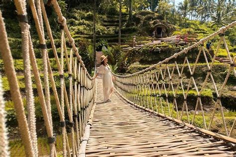 Ubud: Monkey Forest, Jungle Swing, Rice Terrace, and Water Temple - balustradellc