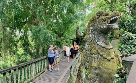 Ubud: Monkey Forest, Waterfall, and Rice Terrace Tour - balustradellc