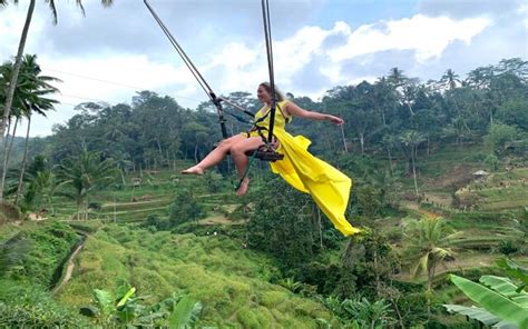 Ubud : Monkey Forest, Rice Terrace, Waterfall, Swing - balustradellc
