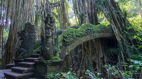 Ubud - Ubud the heart and soul of Bali - balustradellc